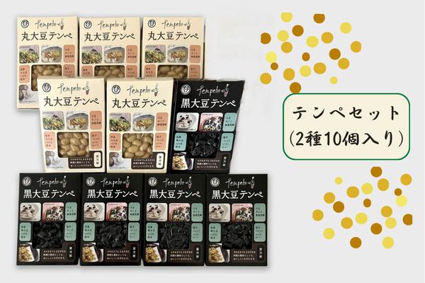 
                  テンペセット（2種10個入り）
                