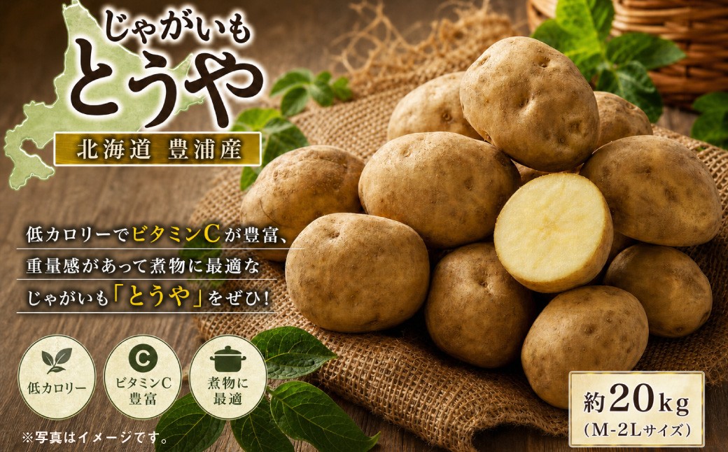 
                  【 ふるさとチョイス限定 】 【 先行予約 】 北海道 豊浦産 じゃがいも とうや 約20kg M - 2L サイズ ジャガイモ イモ いも 芋 野菜 やさい 国産 煮物 肉じゃが カレー シチュー 低カロリー ビタミンC 【 2026年9月上旬～10月下旬発送 】
                