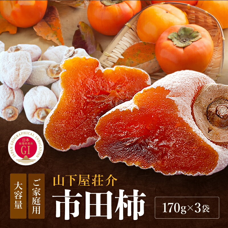 【ふるさと納税】 市田柿 長野県産 南信州 に伝わる 伝統の味 市田柿 170g×3袋 ＜2026年1月上旬～2月下旬発送＞ | 果物 くだもの フルーツ 柿 かき 市田柿 干し柿 長野県 信州 南信州 飯田市 B44