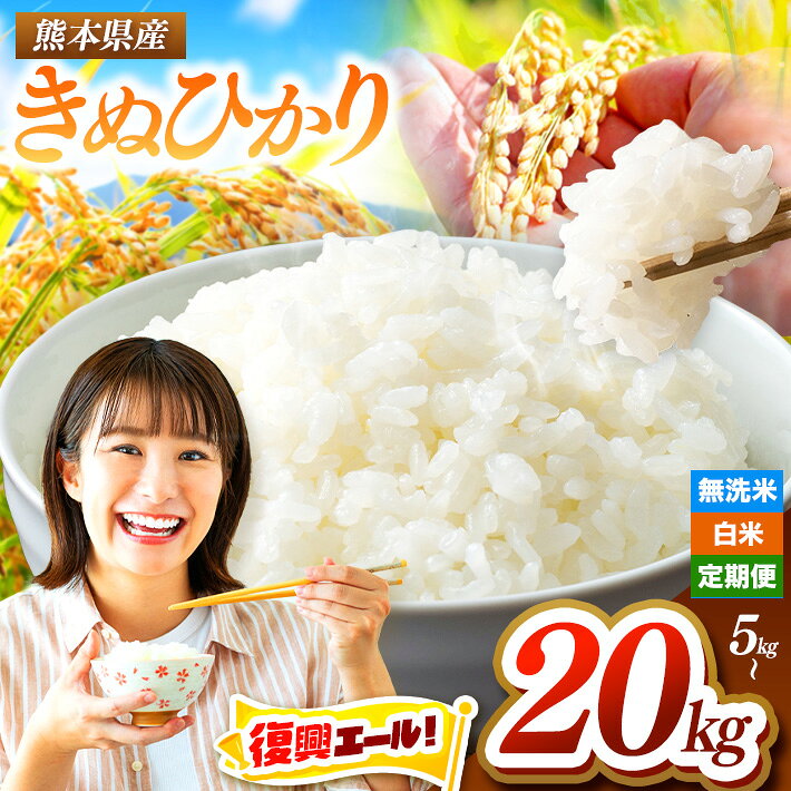 【ふるさと納税】 復興エール | 令和7年産 きぬひかり 白米 / 無洗米 選べる 内容量 ・ 回数 5kg ～ 20kg | お米 米 こめ 精米 キヌヒカリ ご飯 単一原料米 早期米 熊本県 玉名市 ブランド米 令和7年8月大雨災害 復興エール 銘柄米 早期米