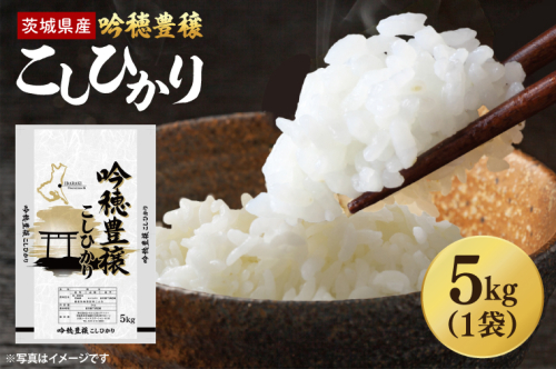 ＜令和7年産＞ 吟穂豊穣こしひかり 5kg 精米 コシヒカリ こしひかり 米 ごはん コメ お米 白米 国産 茨城県産