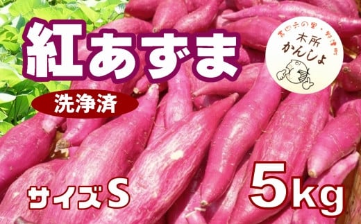 木所かんしょ（紅あずま）５㎏【栽培期間中化成肥料不使用】洗浄済 さつまいも Sサイズ