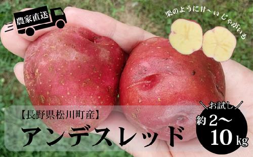 HF48-25B【信州松川町産】じゃがいも アンデスレッド 約2kg／8月中旬～10月下旬頃 配送予定 / 長野県 南信州  減農薬栽培 じゃがいも ジャガイモ   エコファーマー認証 農家支援