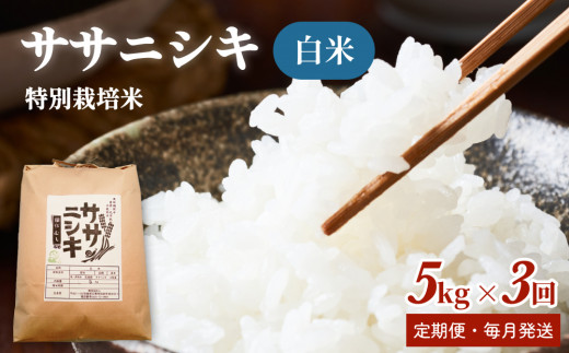 【定期便】特別栽培米 ササニシキ 白米 毎月5kg 全3回 合計15kg