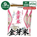 【ふるさと納税】【毎月定期便】【9kg】タニタ食堂の金芽米 4.5kg×2袋(無洗米)　金芽米計量カップ付全12回【4056822】