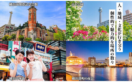 横浜市 後から選べる旅行Webカタログで使える！ 旅行クーポン（60,000円分） 旅行券 宿泊券 AQB0001