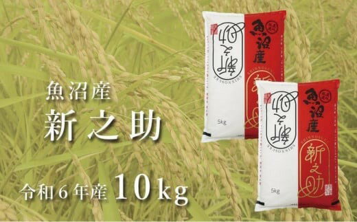 【ふるさと納税】令和7年産新米 中魚沼産「新之助(しんのすけ)」10kg(5kg×2袋) 選べる配送回数 新潟県 津南町 有限会社イタバ