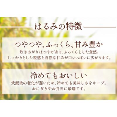 ふるさと納税 伊勢原市 [令和8年産新米 10月下旬から出荷]伊勢原産 精米5kg はるみ 農家直送!加藤さんちの米 |  | 01