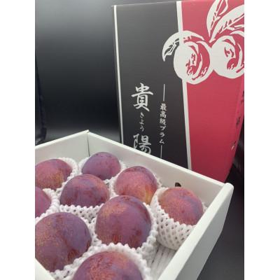 ふるさと納税 南アルプス市 山梨県南アルプス市産　旬の採れたて貴陽　約1.8kg |  | 01