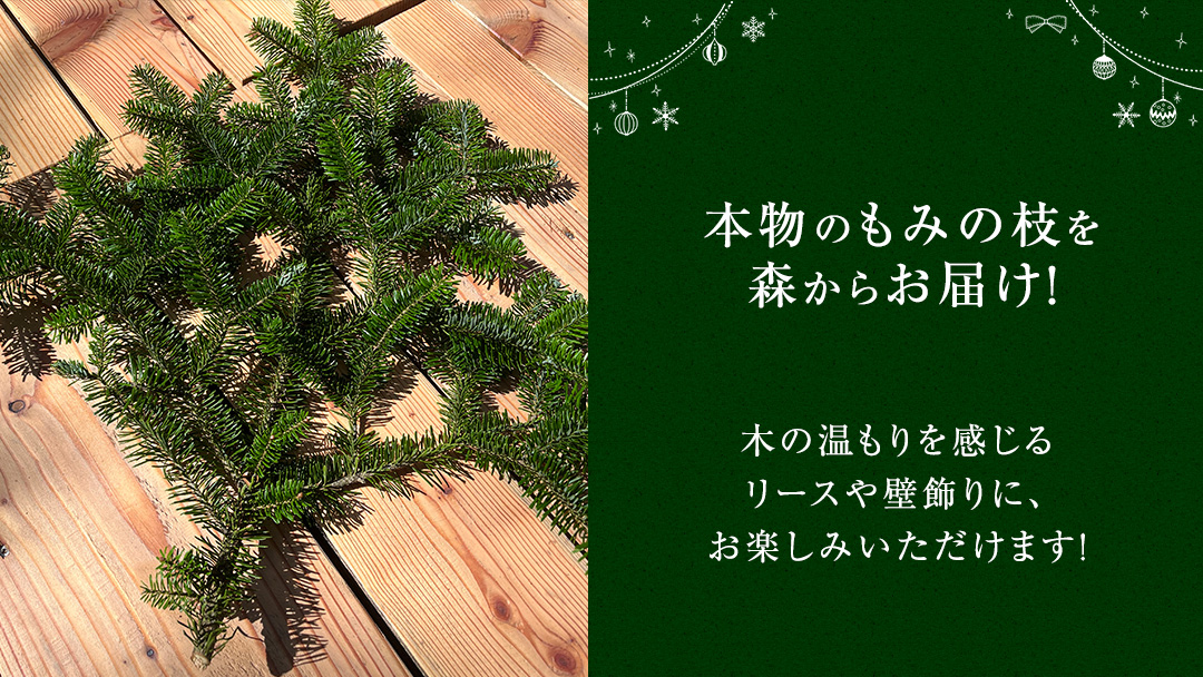 【 12月 発送開始 】 クリスマス に最適! フィノスの森 もみの木の枝 2本セット クリスマス クリスマスツリー もみの木 観葉植物 インテリア 日用品 飾り 数量限定 リース スワッグ  [BI
