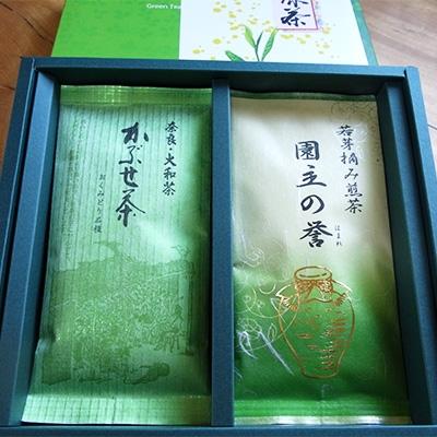 ふるさと納税 大淀町 【南芳園】吉野の緑茶セット