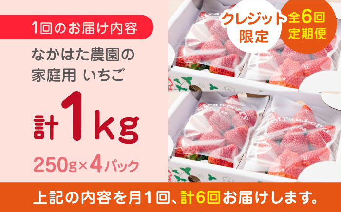 【先行予約】【全6回定期便】いちご食べ比べ セット 3品種 総計6.0kg ( 250g × 4P × 6回 ) 農園直送 熊本県産 山都町産 イチゴ ストロベリー【なかはた農園】[YBI004]