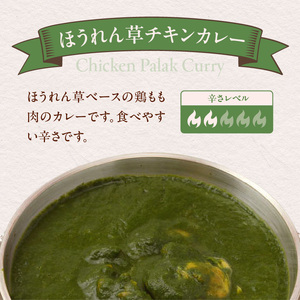 ダルマサーガラ　南インドカレーセットC_カレー 南インドカレー セット インドカレー 2種 各1パック 計 600g レトルト 本場の味 ほうれん草チキンカレー 海老カレー マイルド ダルマサーガラ 