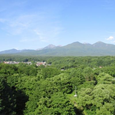 ふるさと納税 原村 【国産非加熱はちみつ】八ヶ岳百花蜜&八ケ岳そば蜜　計2本セット(600g×各1本) |  | 03