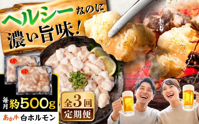 
                  【全3回定期便】あか牛 白 ホルモン 約500g (約250g×2P) / ホルモン ほるもん ホルモン肉 肉 牛肉 白ホルモン 熊本県 菊陽町 九州産 国産 あかうし あか牛【五右衛門フーズ】 [BHCY010]
                