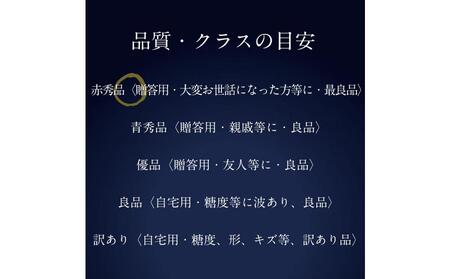 [HS]【定期便 全2回】ぶどう 2025年 先行予約 9月・10月発送 最高級品シャイン マスカット 晴王 2房 〈合計約1.4kg〉 ブドウ 葡萄  岡山県産船穂産 フルーツ 果物 ギフト