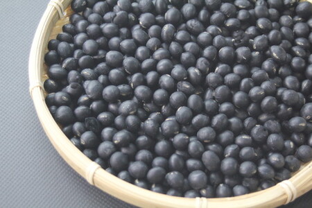 令和5年産　黒豆【500g】【AB54SM1】