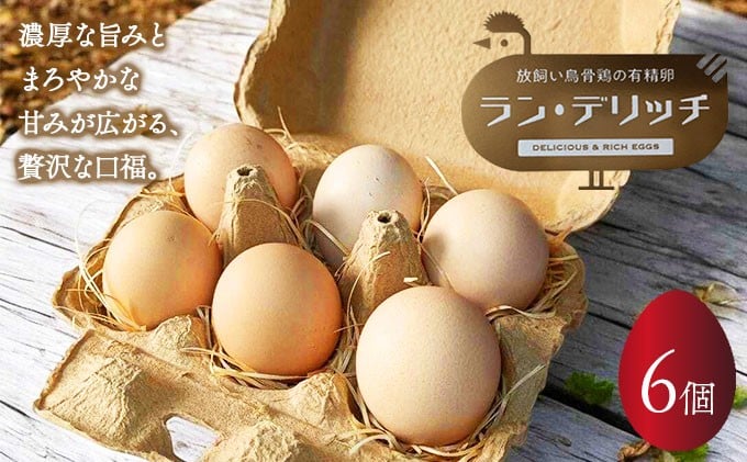 
            兵庫県芦屋産 放飼い烏骨鶏の有精卵『ラン・デリッチ』 | 6個入 卵 たまご 烏骨鶏 新鮮 産直 卵詰め合わせ 卵セット 高級卵 玉子 放飼い
          