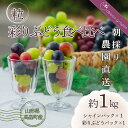 【ふるさと納税】≪2025年先行予約≫山形県 高畠町産 大粒ぶどう 彩りぶどう食べ比べ 粒 約1kg（500g×2）2025年9月中旬から順次発送 ぶどう ブドウ 葡萄 マスカット 大粒 種なし 高級 くだもの 果物 フルーツ 秋果実 家庭用 ギフト 贈り物 農家直送 数量限定 F21B-307