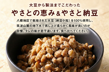これがやさとの恵みだ&やさと納豆 40食 セット 八郷産 大豆 100％ 小粒 納豆 食べ比べセット 食べ比べ 納豆ごはん 納豆巻き 環境に優しい紙パック 茨城県 石岡市 (A36-002)