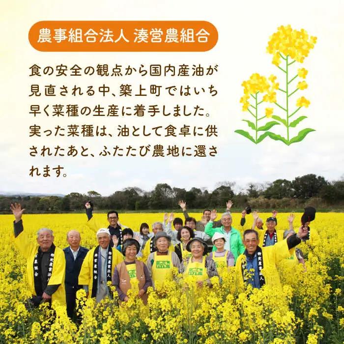 菜の花油 菜の花 サラダ油 3本 [ABAQ012] サラダ油