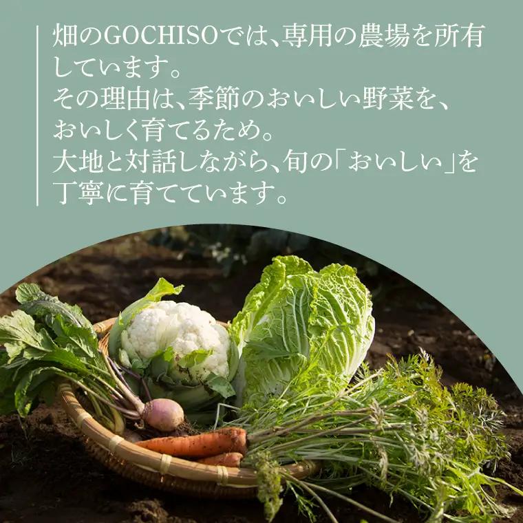 『畑のGOCHISO』ランチペアチケット（GU-1）