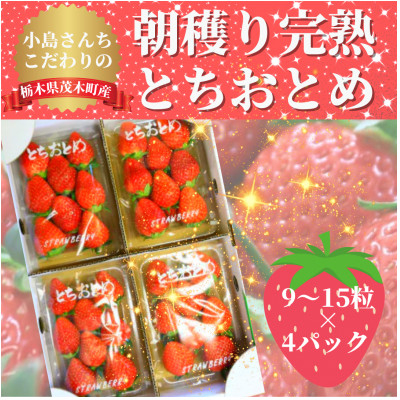 
＜1月から順次発送＞小島さんちの完熟とちおとめ(9～15粒×4パック)【1268933】
