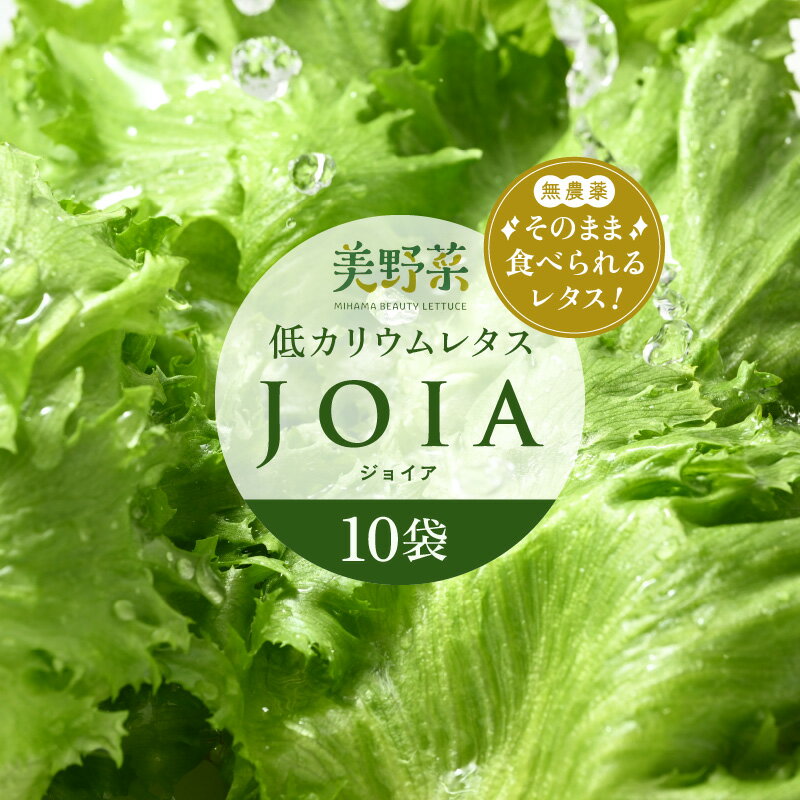 【ふるさと納税】低カリウムレタス 美野菜 「JOIA」 10袋 クリーンルーム栽培 鮮度長持ち 【野菜 生野菜 レタス サラダ お弁当 水耕栽培 洗わず食べられる 時短 付け合わせ】 [m40-a010]