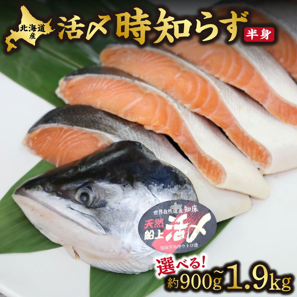 【ふるさと納税】活〆 時知らず鮭 切り身 中塩仕込 天然 半身 小分け(900g~1900g)【配送不可地域：離島・沖縄県】