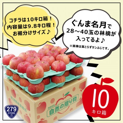 10月下旬頃発送 ぐんま名月 家庭用 10キロ箱 9.8kg 28～40玉 津軽りんご 産地直送【配送不可地域：離島】