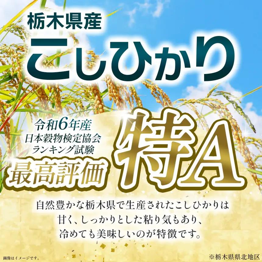 【定期6回】【先行予約】令和8年度産 栃木県産コシヒカリ 5kg