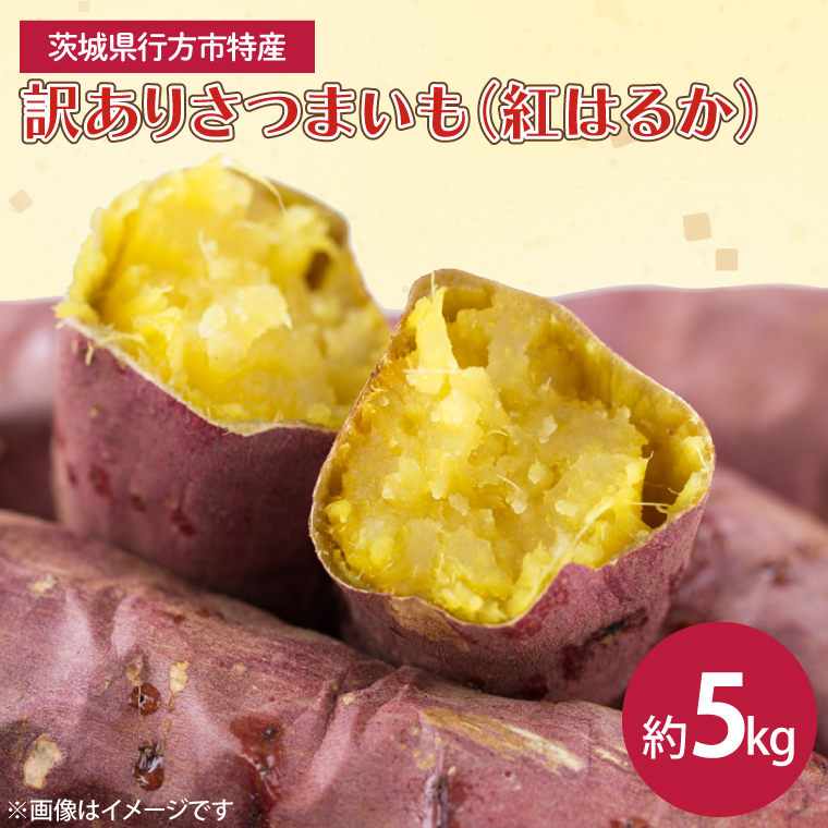 【2025年12月より順次発送】茨城県産 紅はるか 訳あり サイズミックス　約5kg｜訳あり わけあり 訳アリ さつまいも サツマイモ さつま芋 紅はるか べにはるか 芋 いも 茨城県産 行方市(FU-1)