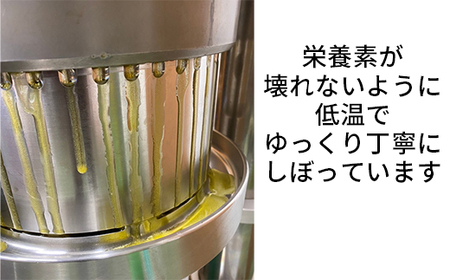 エゴマオイル(EGOMA OIL) 100g×2本セット 無農薬栽培 低温直圧搾油法 大分県産＜143-006_5＞