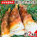 【ふるさと納税】【2024年3月先行予約】熊本県 御船町 掘りたて たけのこ 2kg タケノコ 竹の子 冷蔵 ギフト グルメ 野菜 お祝い 春 筍《2024年3月上旬-4月下旬頃出荷》 有限会社ニシムラ 熊本 御船 たけのこ 先行 予約