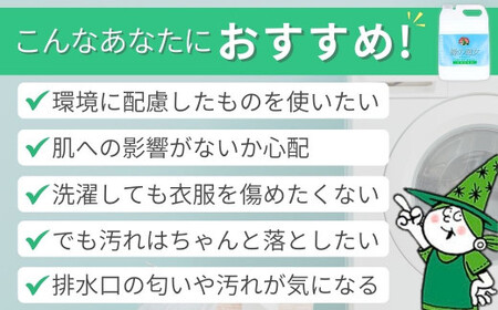 【2ヵ月毎定期便】ふるさと納税専門誌掲載品 環境配慮型洗剤緑の魔女ランドリー5L×3セット 全6回 | 茨城県 龍ケ崎市 洗剤 液体 液体洗剤 環境配慮 エコ やさしい 洗濯 洗濯洗剤 衣類 汚れ よ