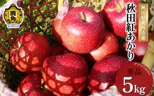 《 先行予約 》秋田県鹿角産りんご「秋田紅あかり」秀品 約5kg ●2025年11月上旬発送開始 秋田 紅あかり 数量限定 リンゴ 完熟 旬 県産りんご お中元 お歳暮 グルメ ギフト 故郷 秋田 あきた 鹿角市 鹿角 送料無料 【アグリTakko】