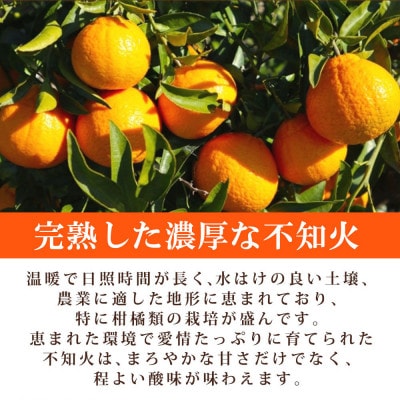 【ご家庭用】紀州有田産不知火(しらぬひ) 3kg【配送不可地域：離島】
