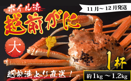 【先行予約】越前港より直送！ 越前がに 大 (約1kg～1.2kg) 1杯※発送前に在宅確認の電話連絡をいたします!【11月～12月発送予定】ズワイガニ ずわいがに ズワイ蟹 越前ガニ ボイル 刺身 蟹 鍋用 しゃぶしゃぶ 冷蔵 福井県 南越前町 送料無料