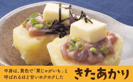 【先行予約】北海道産じゃがいも（北あかり）5kg（2025年9月中旬から発送開始予定）| じゃがいも _00416