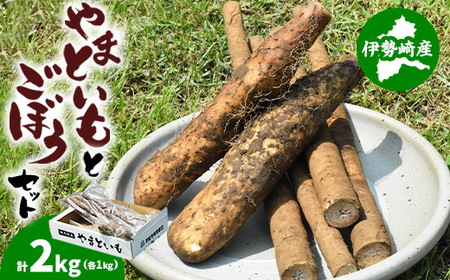 伊勢崎市産泥付きやまといも・ごぼう詰め合わせセット ※北海道・沖縄・離島への配送不可