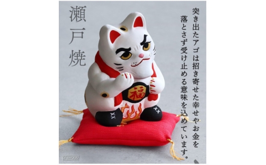 来いや猫【1702648】