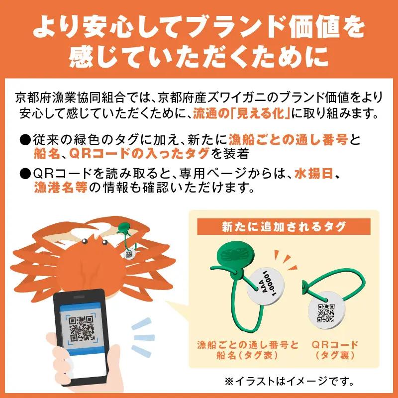 【幻のズワイ蟹】京丹後産 活間人蟹 鮮度抜群、活きたままお届け！！ 800g級×1杯