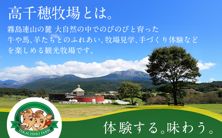 高千穂牧場ドリンク＆ヨーグルトセット《ご入金翌月の中旬～下旬の水曜日頃出荷》_19-1602_(都城市) 乳製品 のむヨーグルト カフェオレ 和紅茶オレ ヨーグルト 苺ヨーグルト 季節のヨーグルト