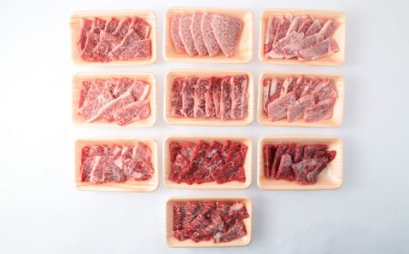145-755 【 定期便 6回】「 激ウマ 焼肉 セット 」 牛肉 和牛 国産 大分県産
