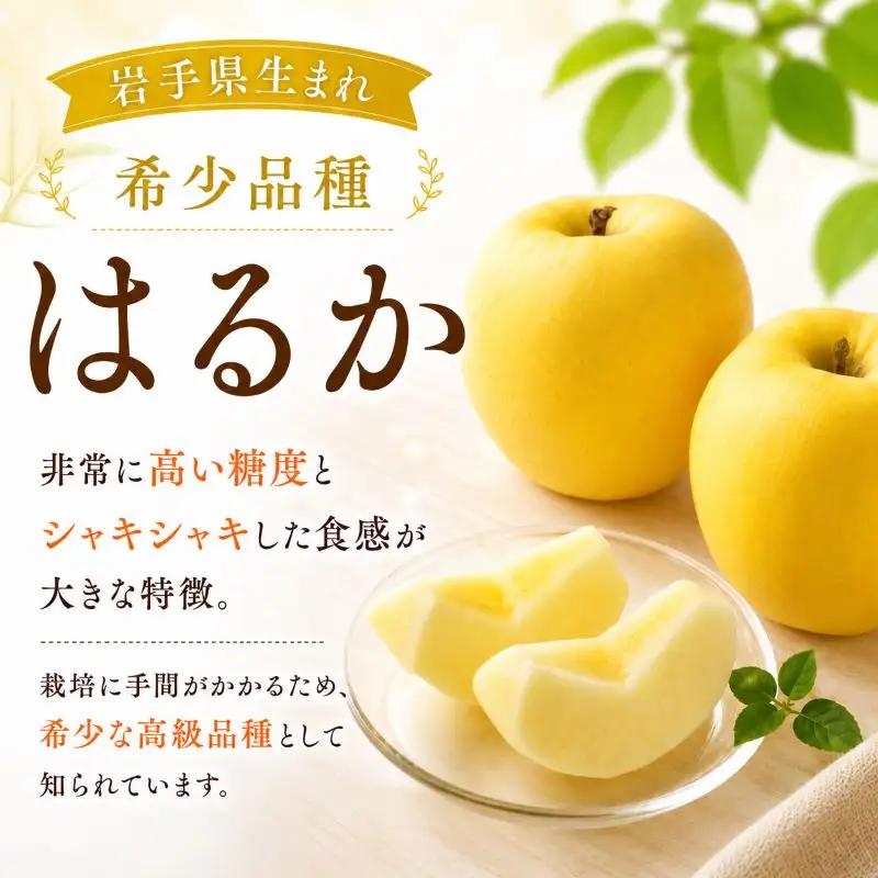 【12月上旬~発送】 贈答用 りんご はるか 5kg 先行予約 ふじむら農園 fujimura010