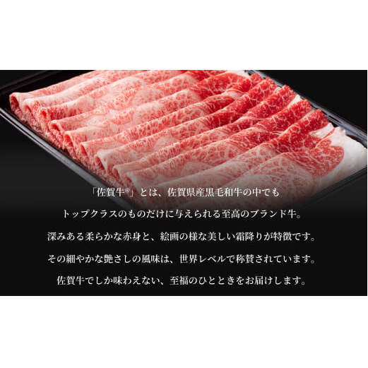 佐賀牛 切り落とし460g【旨味豊富なブランド牛！煮物から炒め物まで多種多様な料理に使える切り落とし肉】 牛肉 黒毛和牛 極上の佐賀牛 厳選 10000円 1万円 お肉 おにく ギフト プレゼント 贈