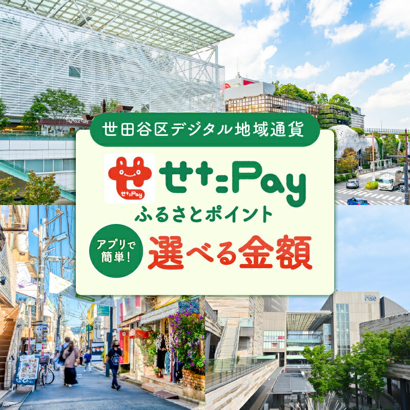 【ふるさと納税】〈選べる金額〉世田谷区 地域限定通貨「せたがやPay」 ふるさとポイント（1pt＝1円）900pt～150,000pt せたぺい デジタル地域通貨 電子決済 キャッシュレス 飲食 宿泊 体験 電子通貨 東京都 世田谷