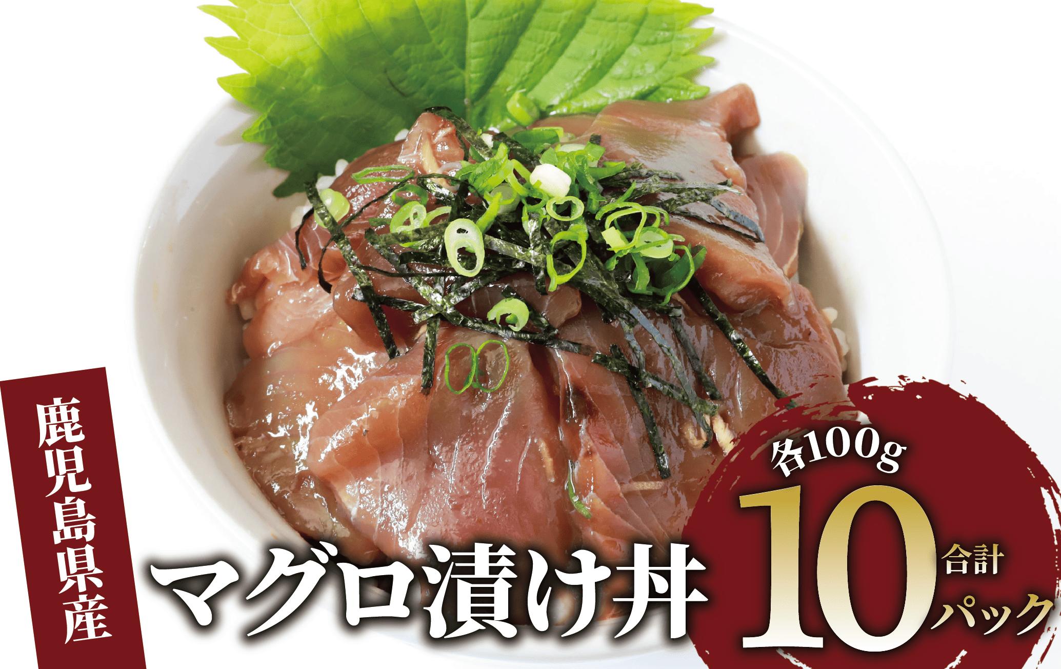 
            マグロ漬け丼100g×10袋(山川町漁協/010-1857) 海鮮 鮪 まぐろ マグロ マグロ漬け丼 マグロ丼 まぐろ丼 漬け丼 丼 のっけ丼 海鮮丼 惣菜 総菜 簡単 調理済み セット 漁協 指宿 山川 指宿鰹節 鹿児島 国産 魚 人気  冷凍 小分け 一人暮らし 食品
          