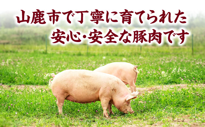 【3回定期便】豚肉 焼肉用（バラ・肩ロース）約1.2kg（4pc）【吉里精肉】 [ZEW096]