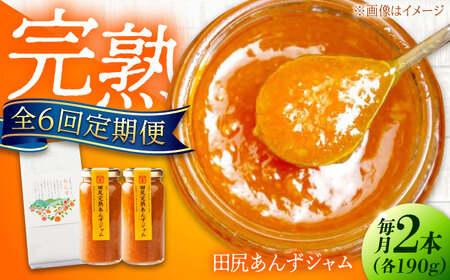 【全6回定期便】田尻完熟あんずジャム (2本)[BAFL013]ジャム